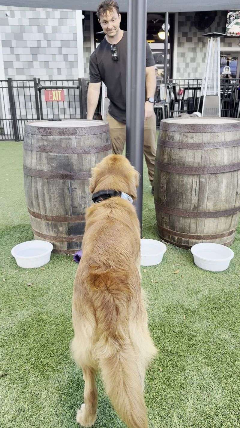 Order Something Special for Your Pup