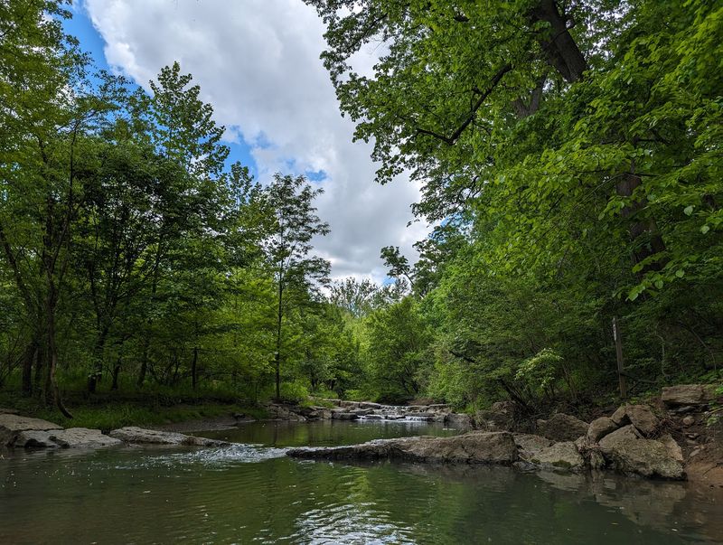 River View Trail Makes a Short Walk Feel Rewarding