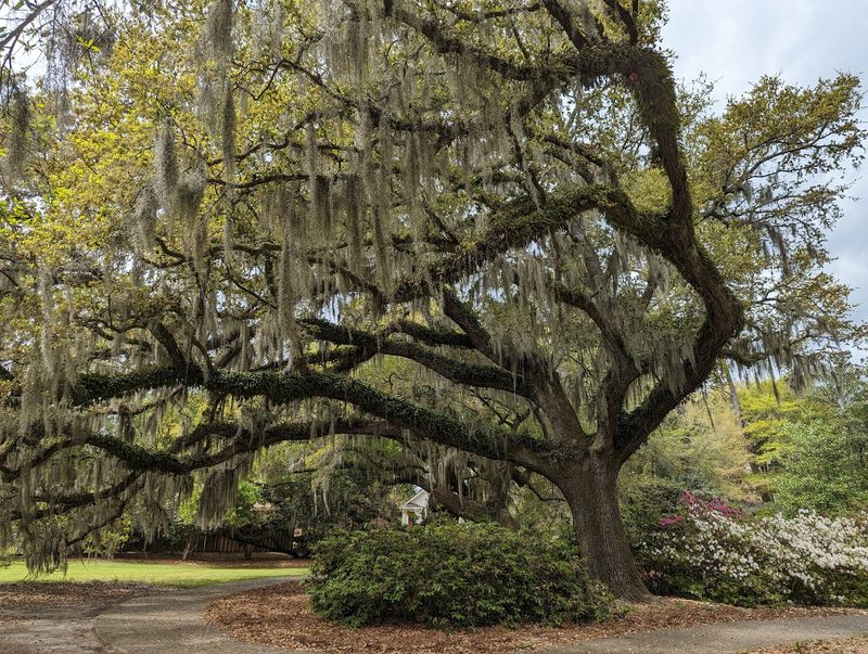 Airlie Gardens, Wilmington: Dawson's Creek, Sleepy Hollow and The Choice