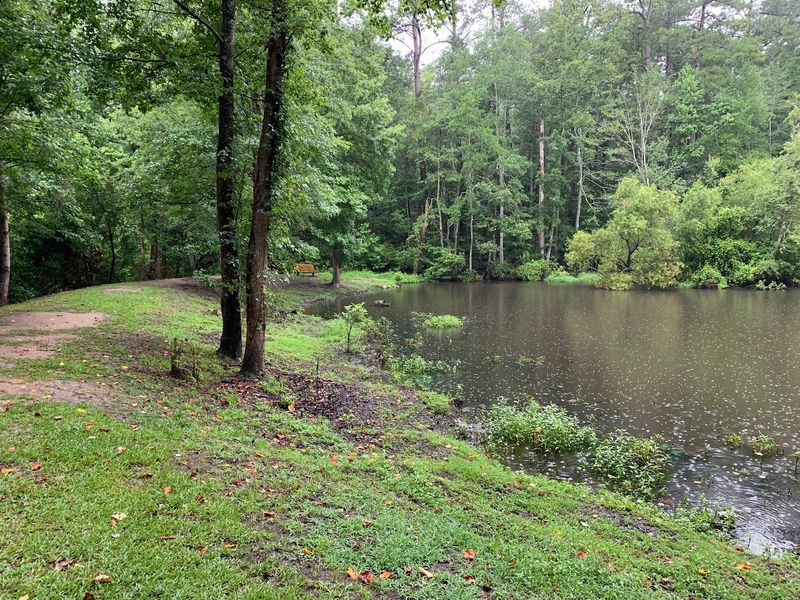 Follow the Dogwood Nature Trail