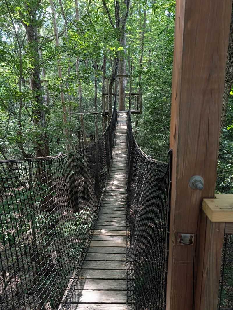 Notice What the Woods Are Saying