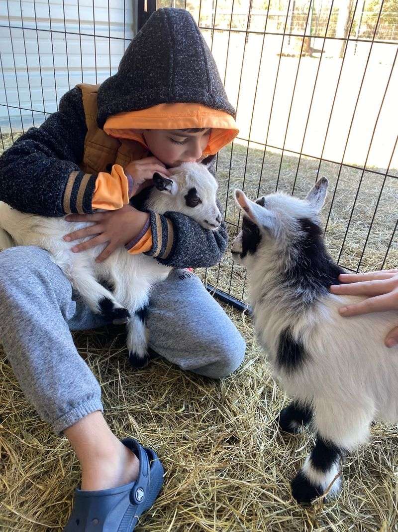 Agape Farm - Watha