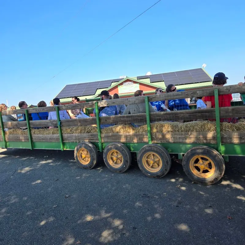 Ride Through the Orchard on a Hayride