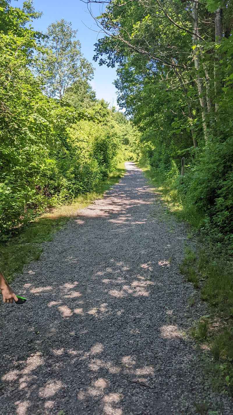 Boston Nature Center - Mattapan