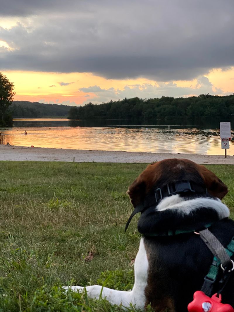 Tobyhanna State Park, Tobyhanna
