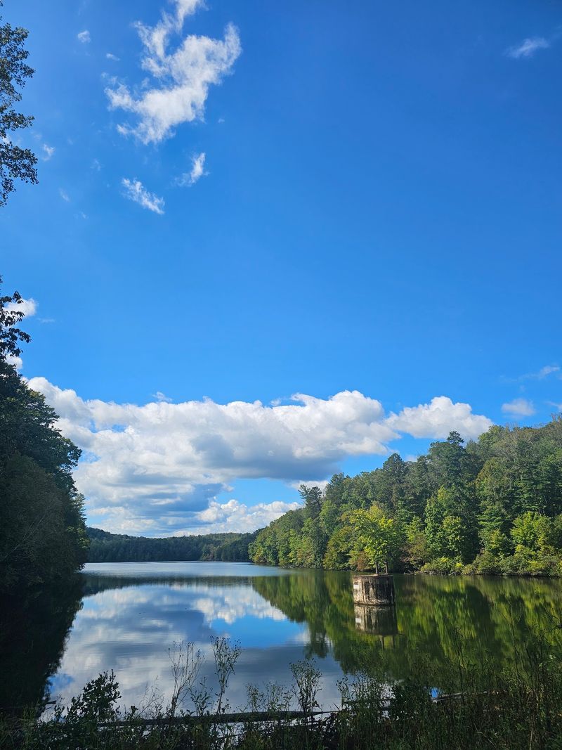 Lucky Stones And Forest Paths - Fairy Stone State Park in Stuart, Patrick County