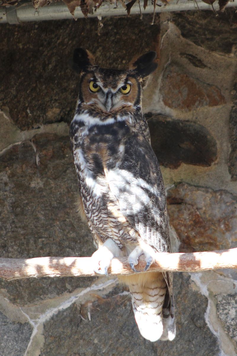 Ansonia Nature Center, Ansonia, New Haven County