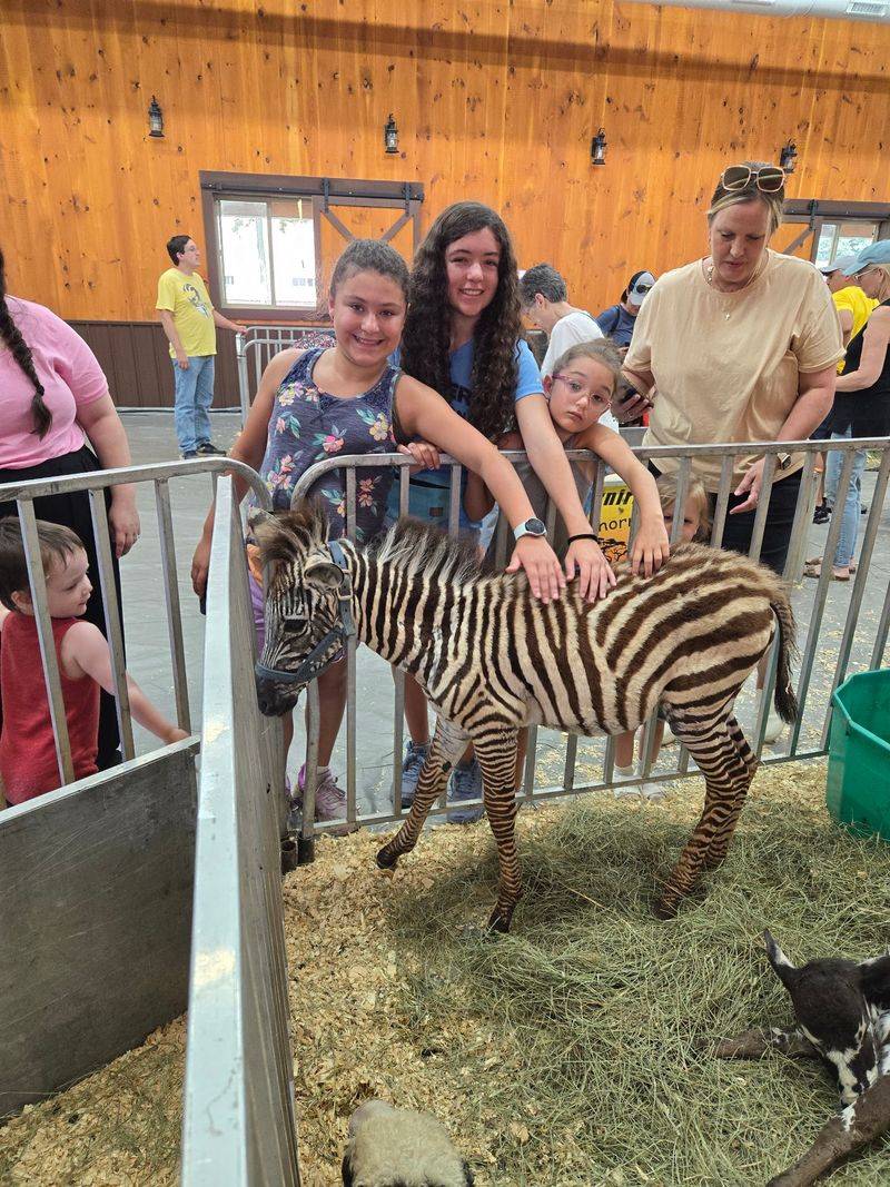 The Story Behind an Animal's Day