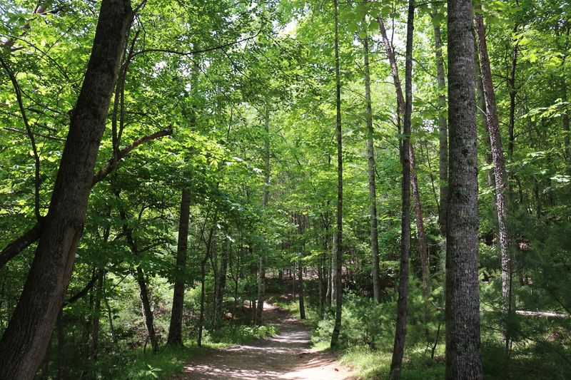 Stone Mountain Falls Trail in Roaring Gap, Wilkes County,