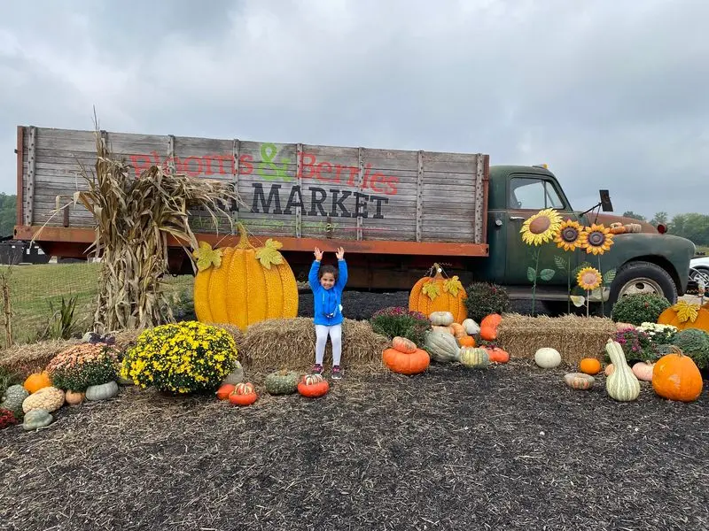 Blooms & Berries Farm Market and Garden Center in Loveland