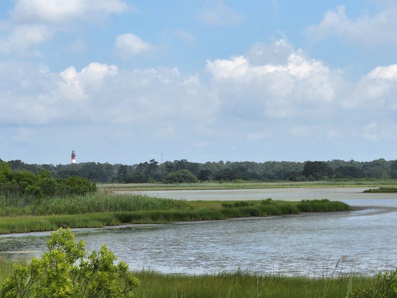 Explore the Freshwater Marsh Trail
