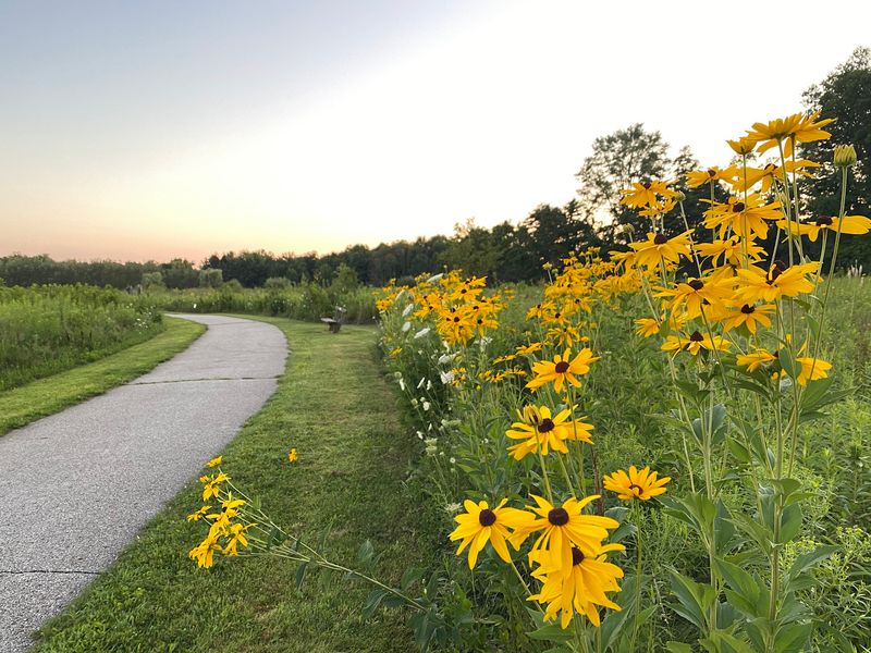 Frohring Meadows - Open Countryside Near Chagrin Falls