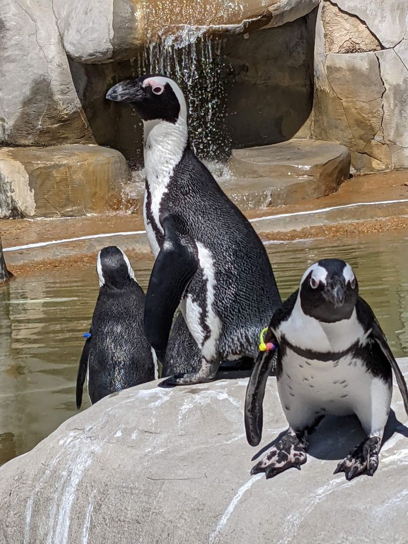 Metro Richmond Zoo in Moseley, Chesterfield County