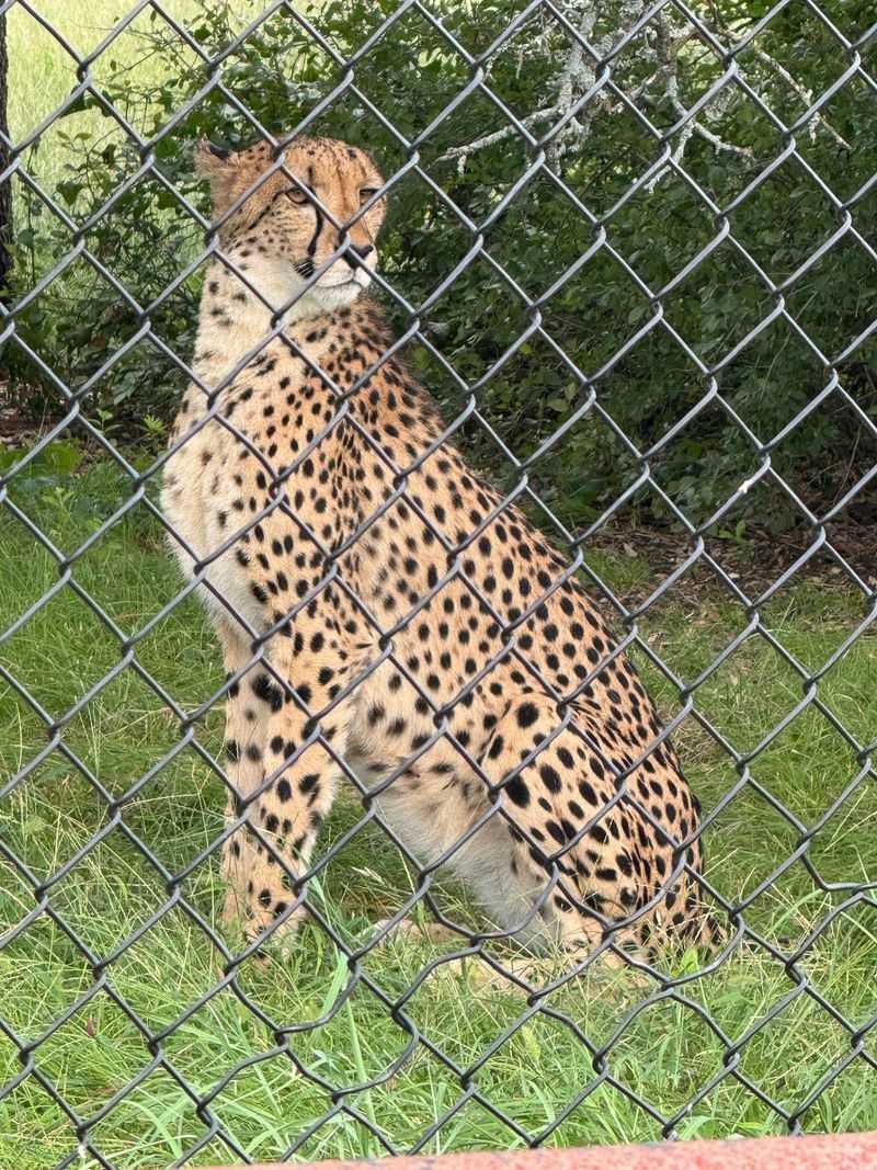 Turn the Visit Into a Conservation Lesson