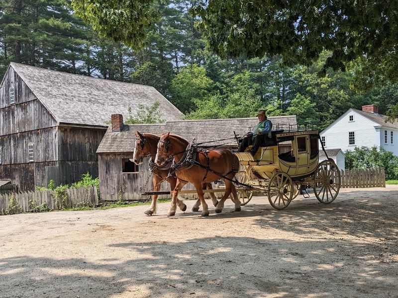 Ride A Horse-Drawn Carryall Around The Mill Pond