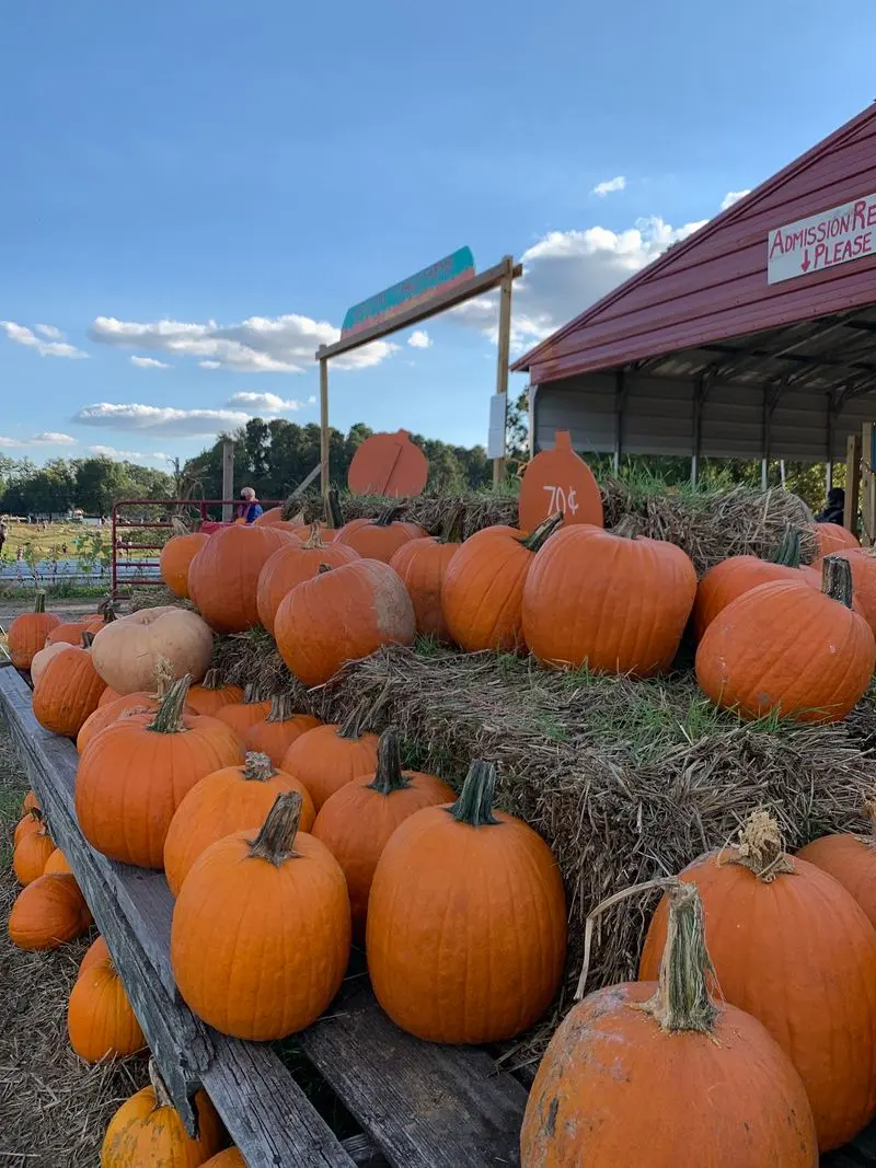 Page Farms - Raleigh