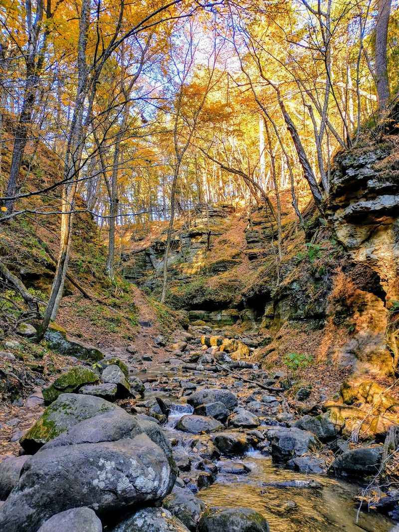 Parfrey's Glen Trail - Merrimac
