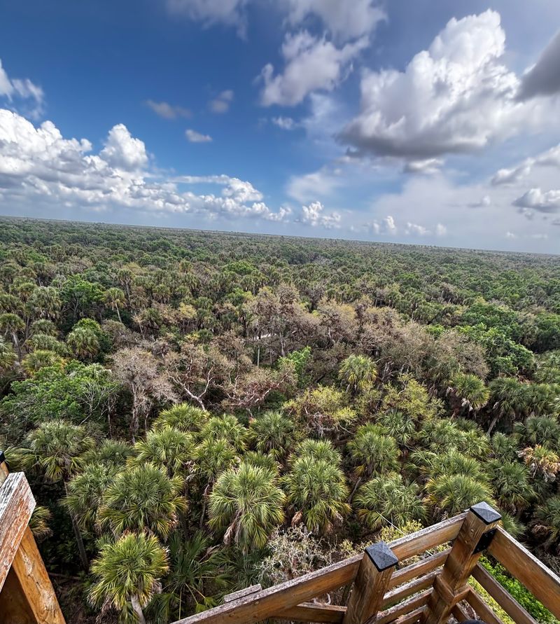 William Boylston Nature Trail and Canopy Walkway - Myakka River State Park