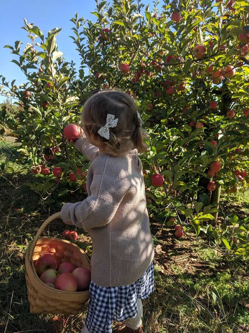Dickie Brothers Orchard - Roseland