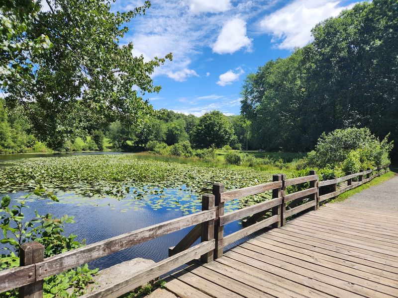 Southford Falls State Park - Southbury