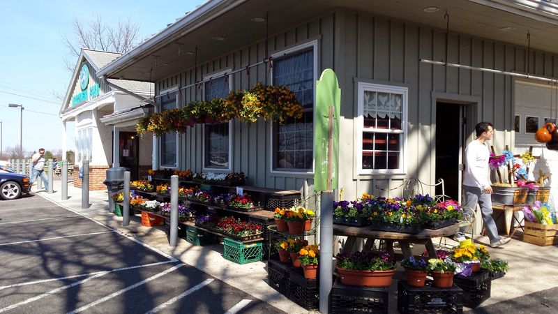 A Country Store Before Dessert