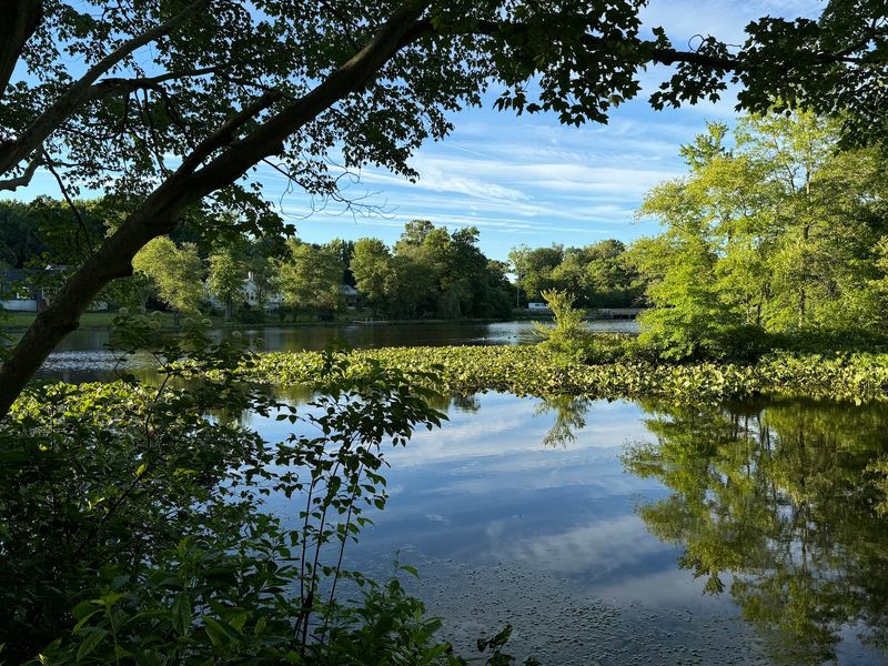 Becks Pond - Bear/Newark Area