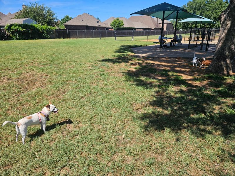 NRH Tipps Canine Hollow Dog Park - North Richland Hills