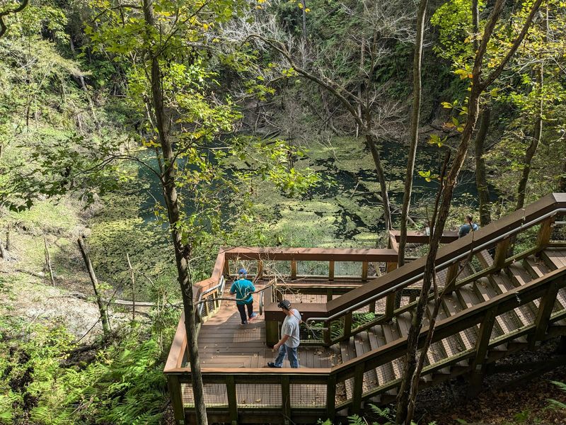 Devil's Millhopper Trail, Gainesville, Alachua County