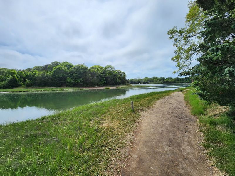 Buttonbush Trail - Eastham