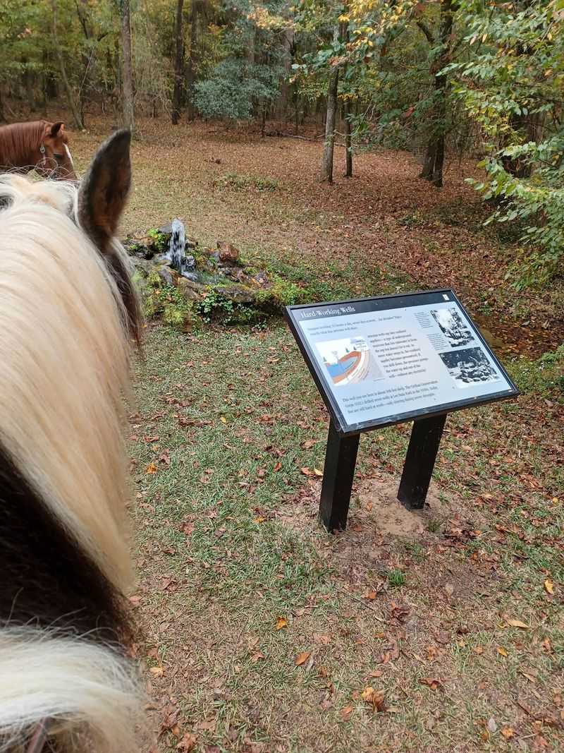 Saddling Up on Equestrian Trails