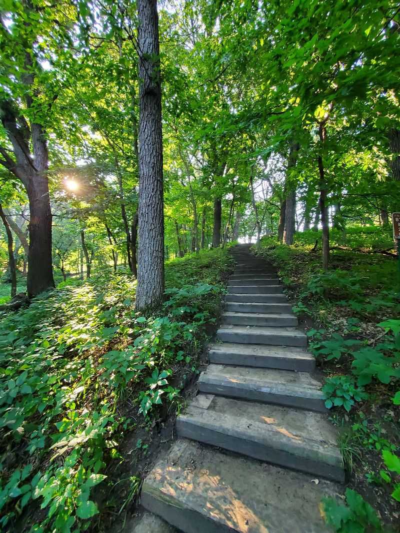 Follow The Trails Beyond The Nature Center