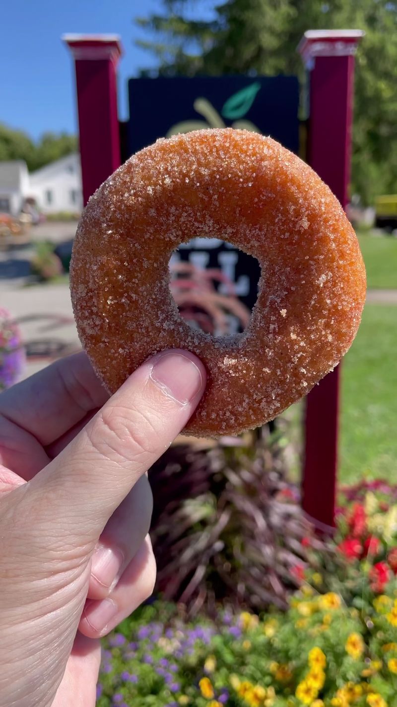 Bite Into Fresh Apple Cider Donuts