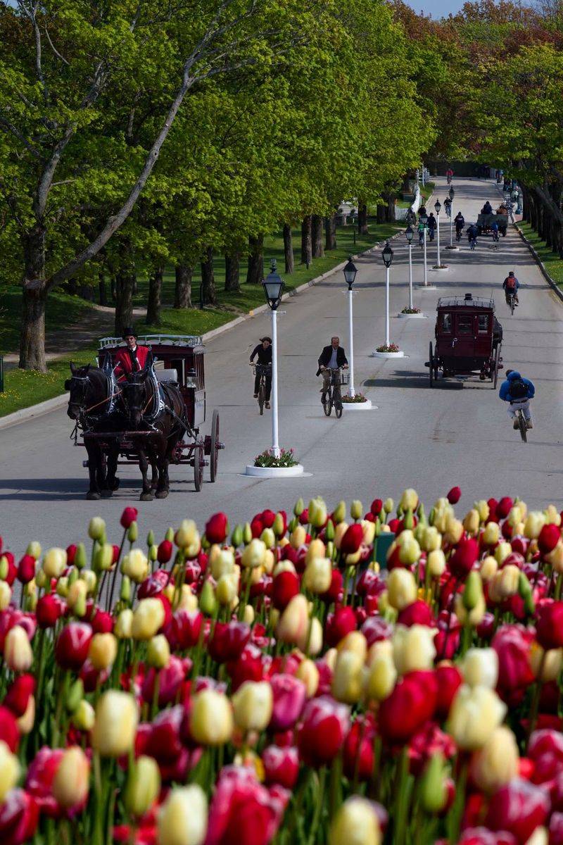 Experience a World Without Cars