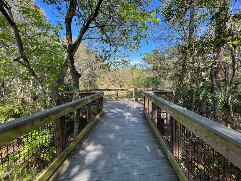 Follow the Wetlands Walkway
