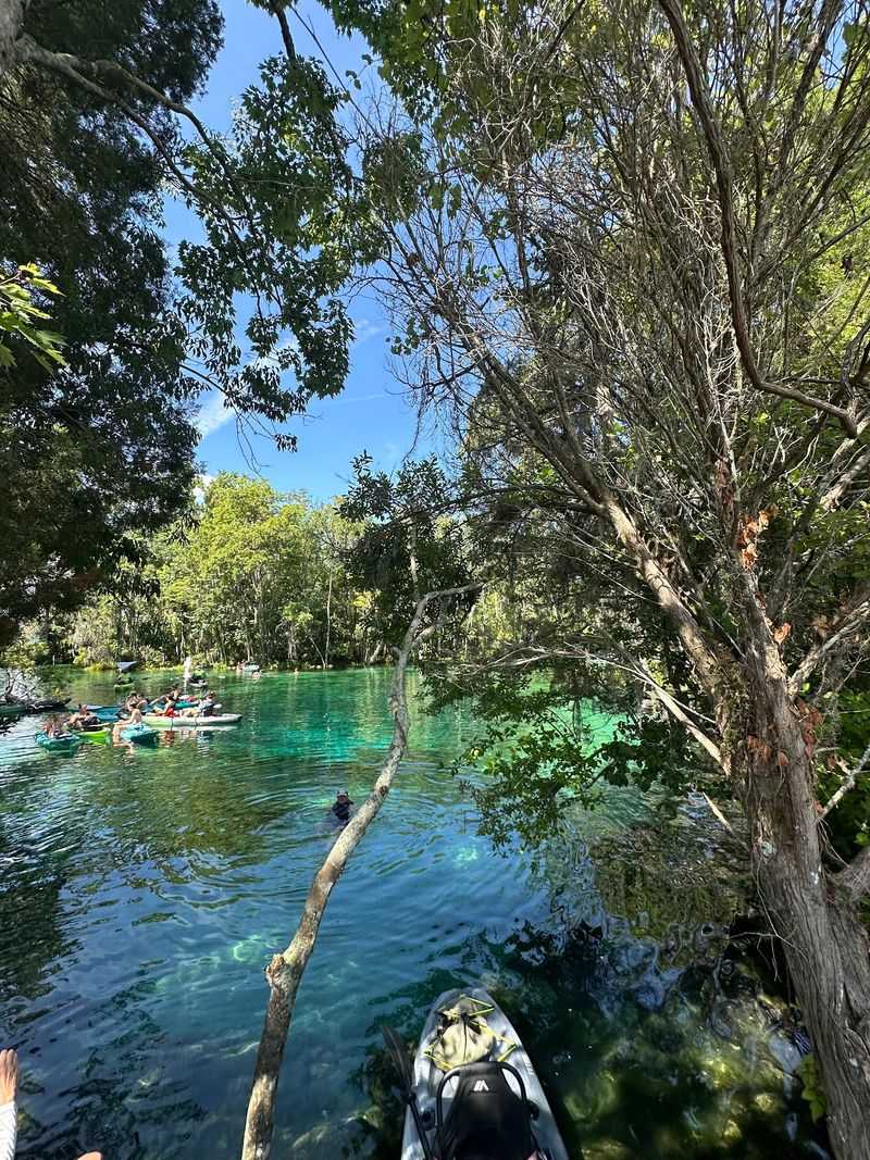 Paddling In From Kings Bay
