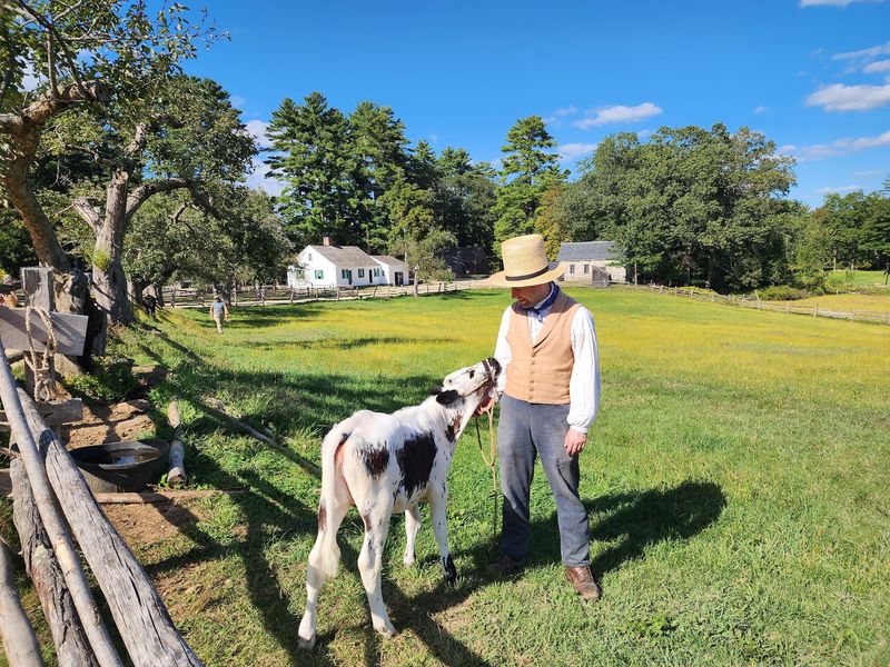 See How A New England Farm Worked