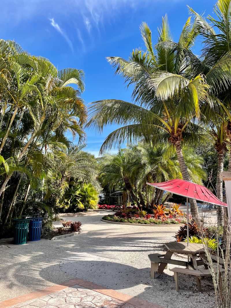 Explore the Tropical Walk