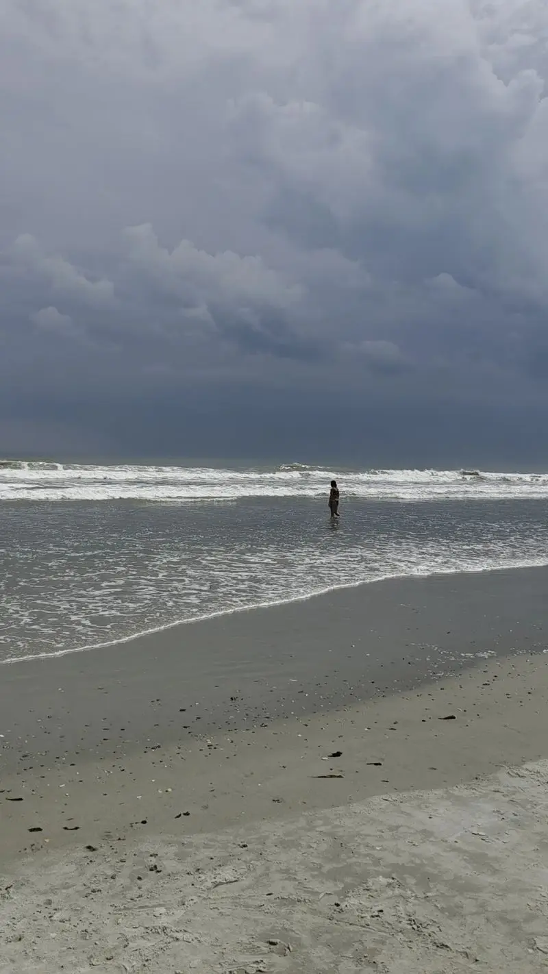 Explore the Shoreline for Shells and Marine Life