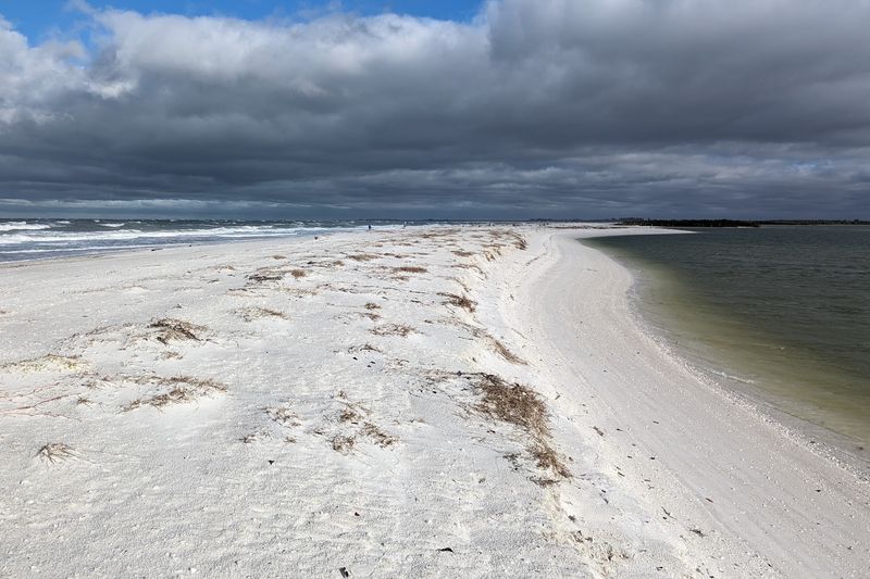 Explore One of Marco Island's Wildest Coastal Landscapes