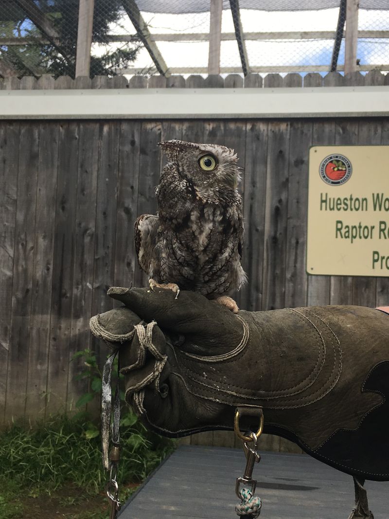 Visit the Nature Center