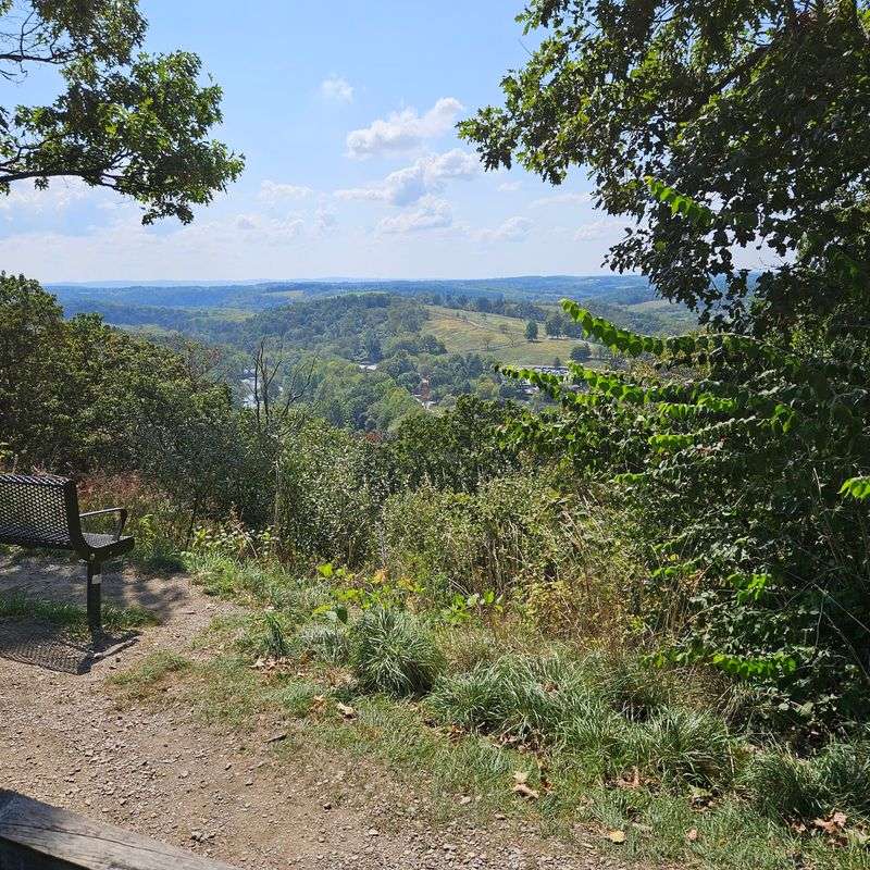 Wander Through the Zoo's Natural Setting