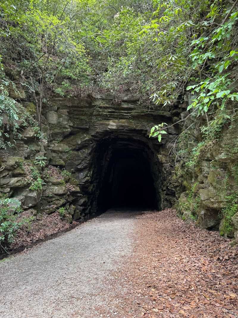 Stumphouse Tunnel Trail, Walhalla, Oconee County
