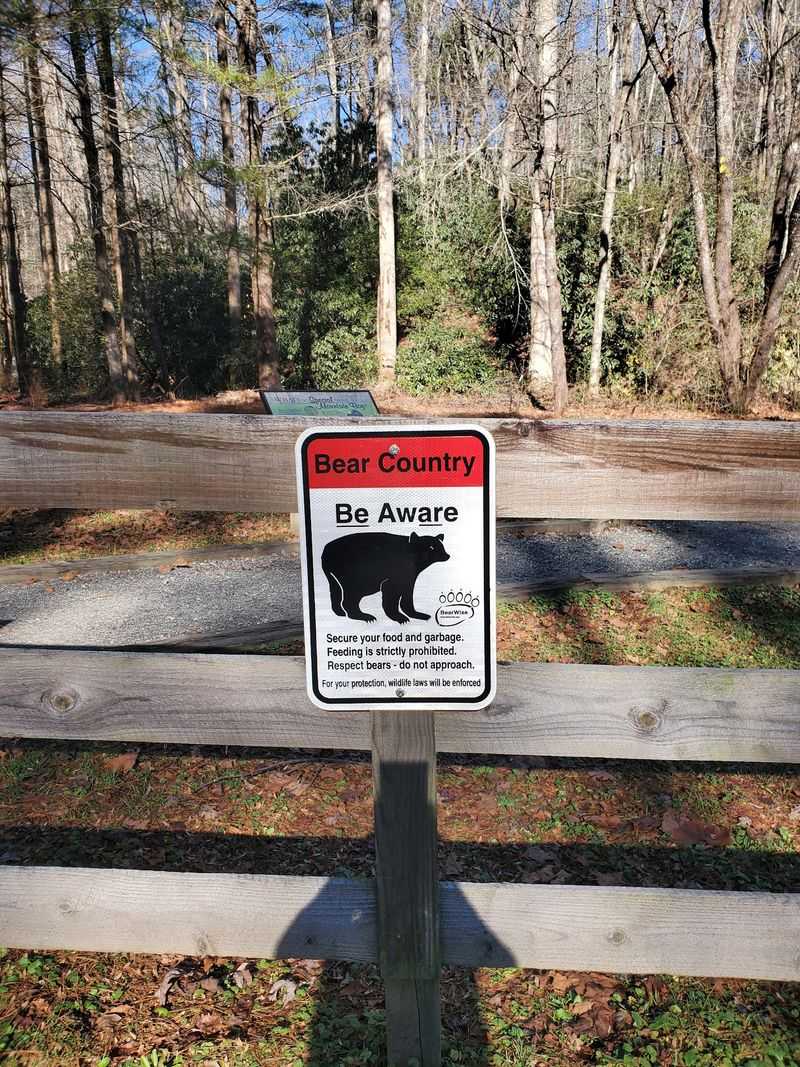 Wildlife Watching Rewards The Quiet Visitor