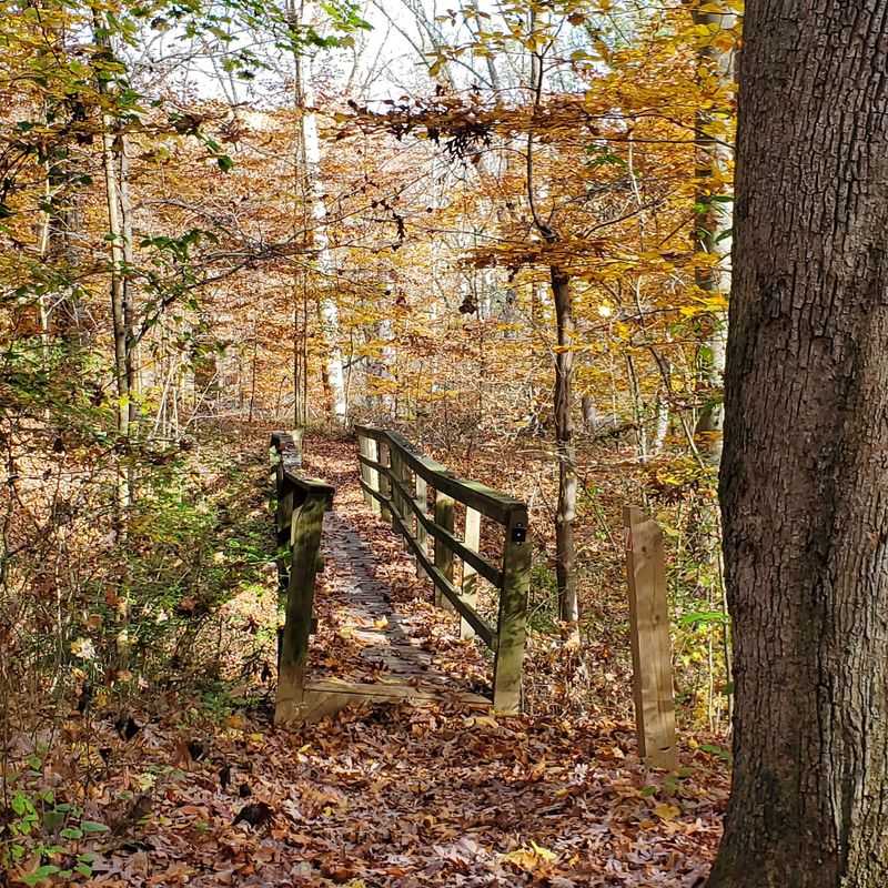 Walk Beneath the Color at Brandywine Creek State Park