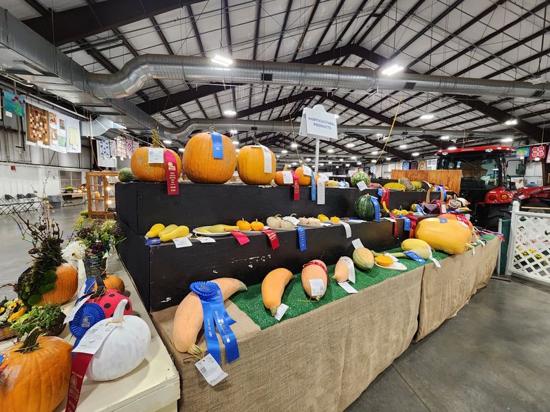 N.C. Mountain State Fair - Fletcher
