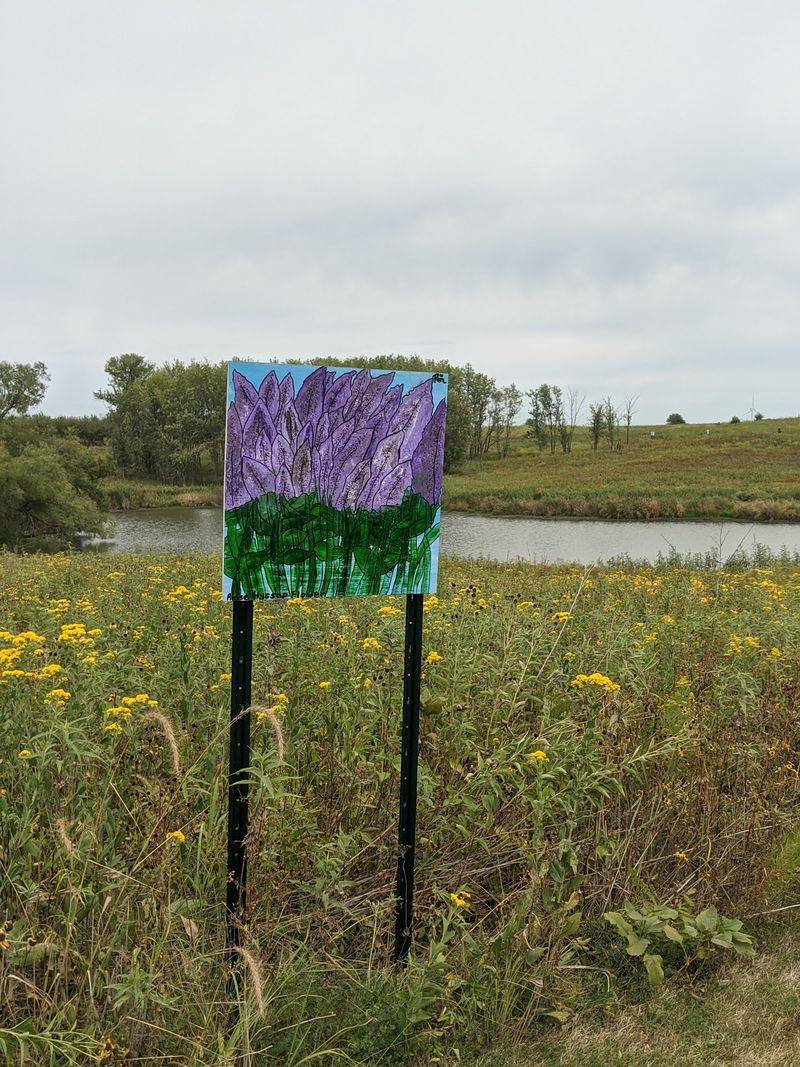 Seeds of Memory Sound Walk - Wallace Farm, Orient