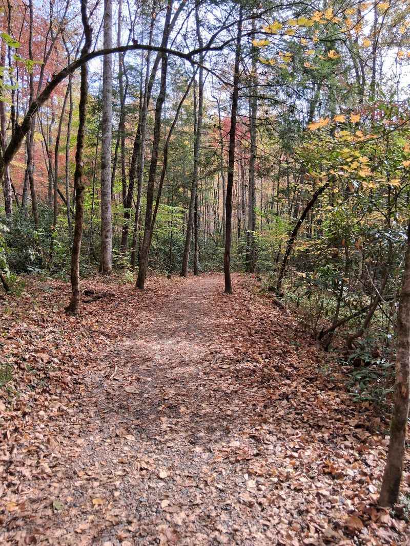 Oconaluftee River Trail - Cherokee