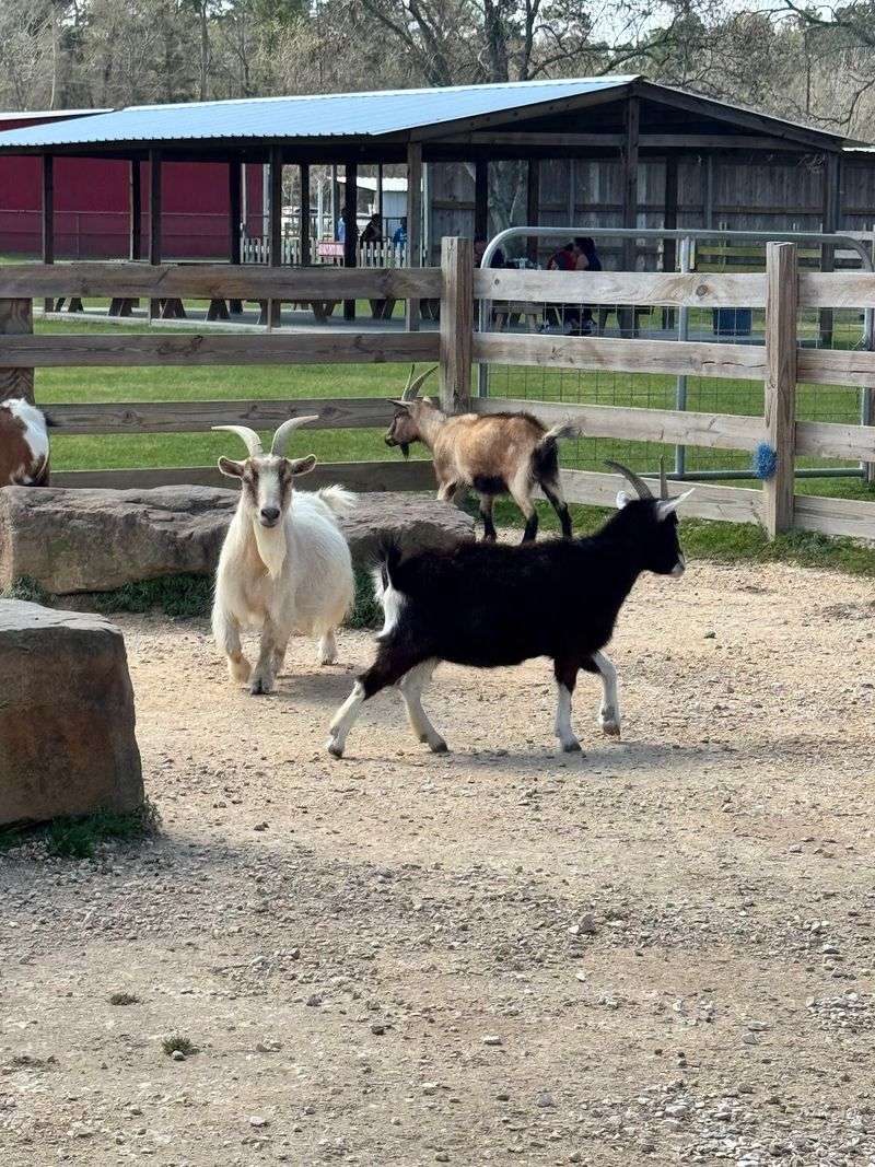Old MacDonald's Farm - Humble