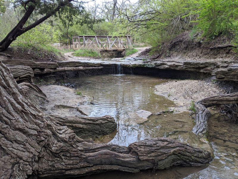 Cedar Ridge Preserve - Dallas