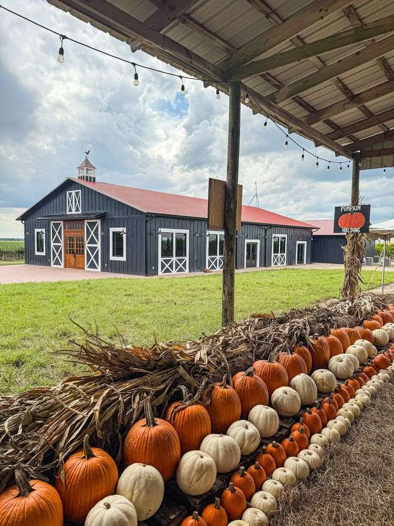 Southern Hill Farms - Clermont
